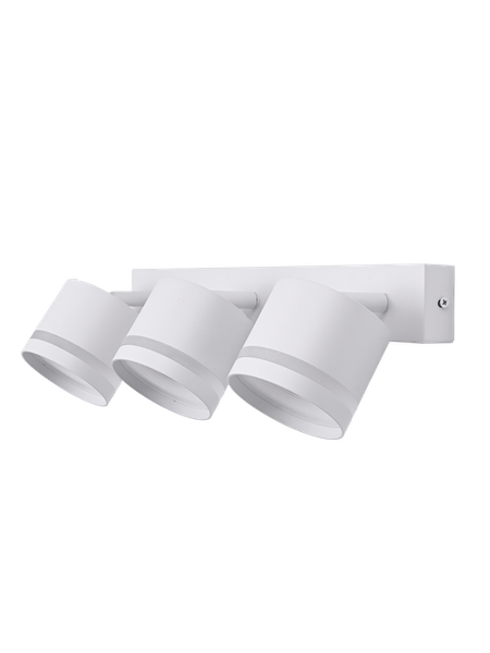 Изображение товара Спот Truenergy 21021