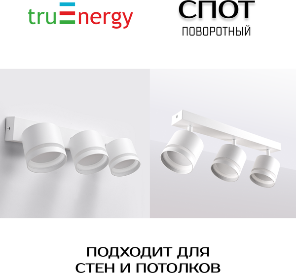 Изображение товара Спот Truenergy 21021