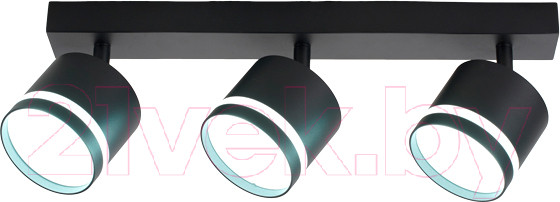 Изображение товара Спот Truenergy 21022