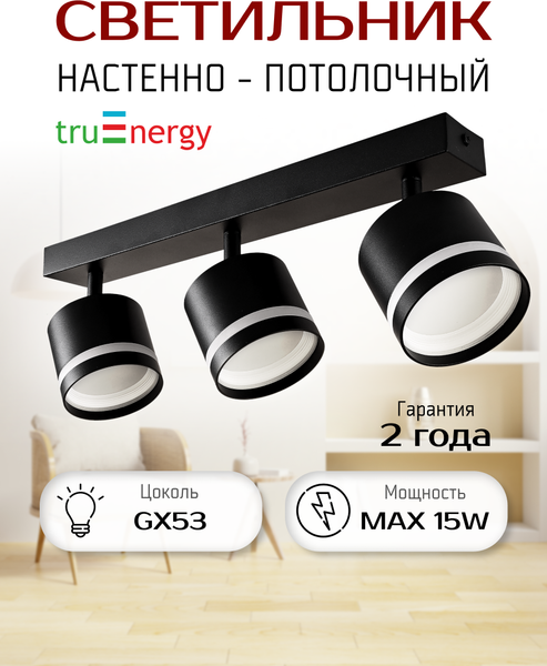 Изображение товара Спот Truenergy 21022