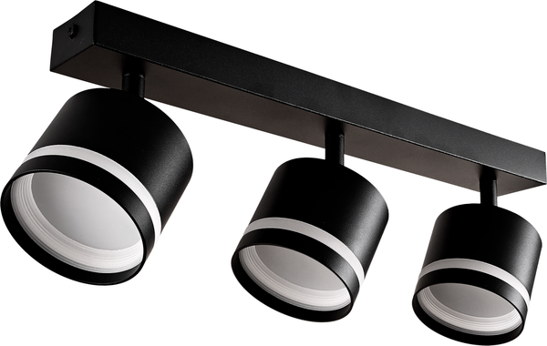 Изображение товара Спот Truenergy 21022