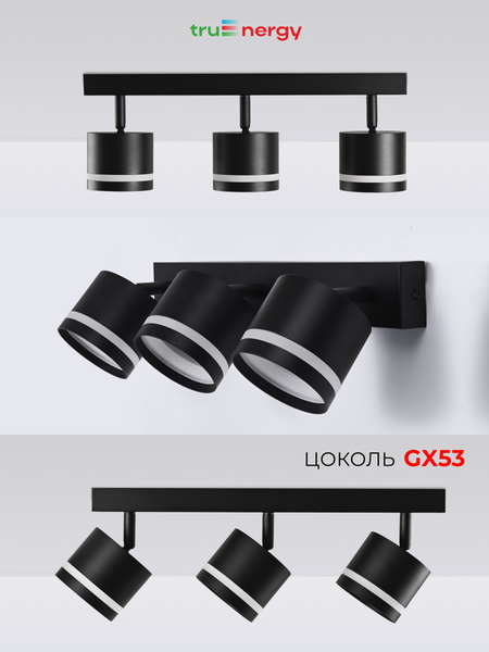 Изображение товара Спот Truenergy 21022