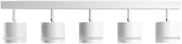 Изображение товара Спот Truenergy 21023