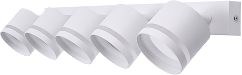 Изображение товара Спот Truenergy 21023