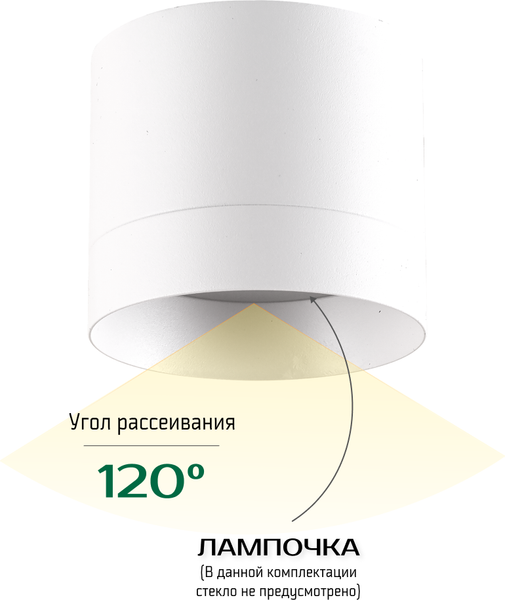 Изображение товара Точечный светильник Truenergy 21025