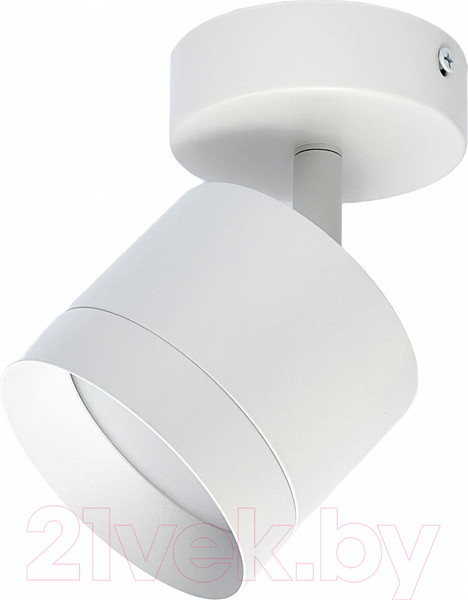 Изображение товара Спот Truenergy 21027