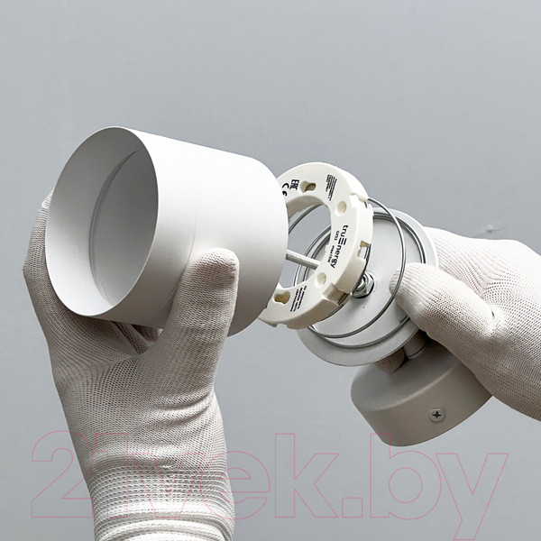 Изображение товара Спот Truenergy 21027