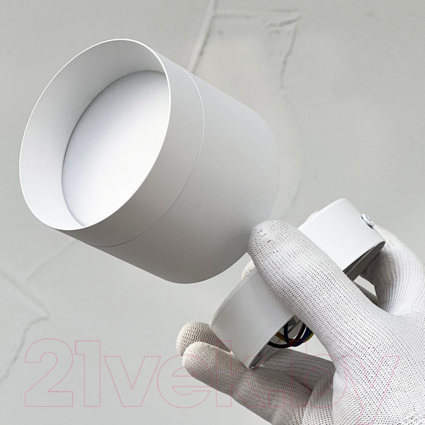 Изображение товара Спот Truenergy 21027