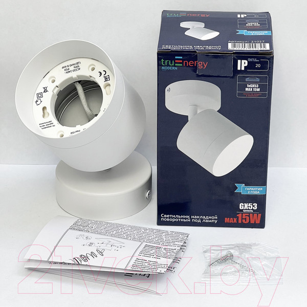 Изображение товара Спот Truenergy 21027