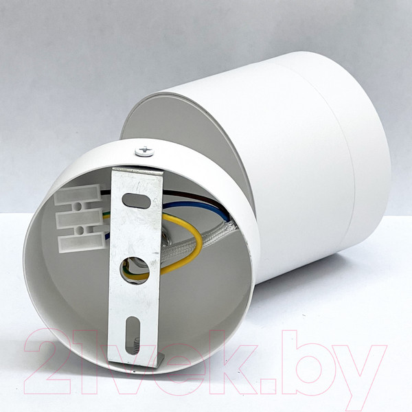 Изображение товара Спот Truenergy 21027