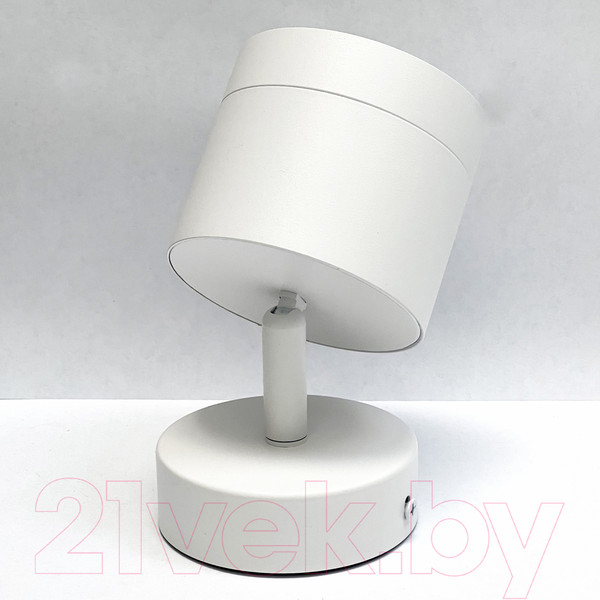 Изображение товара Спот Truenergy 21027