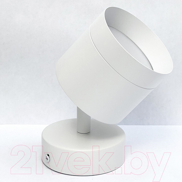 Изображение товара Спот Truenergy 21027