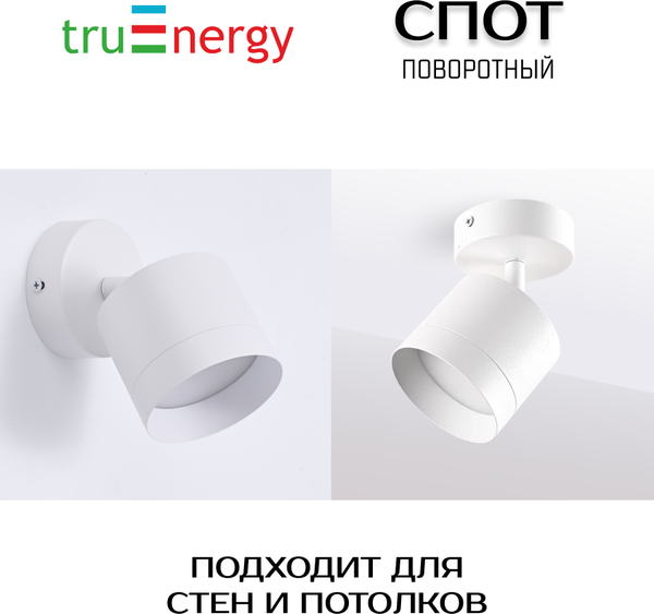 Изображение товара Спот Truenergy 21027