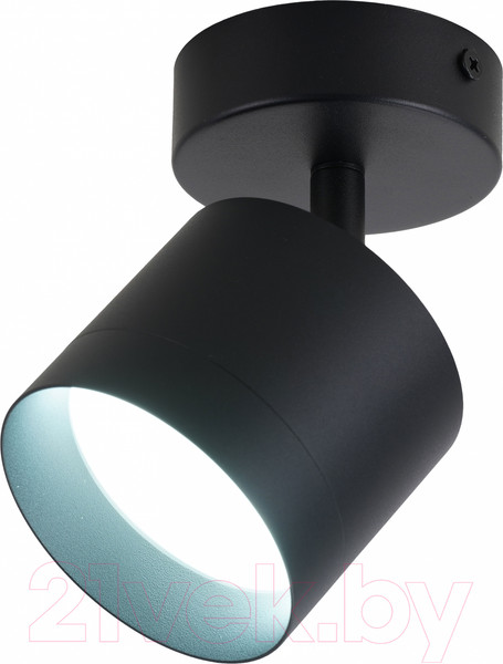 Изображение товара Спот Truenergy 21028