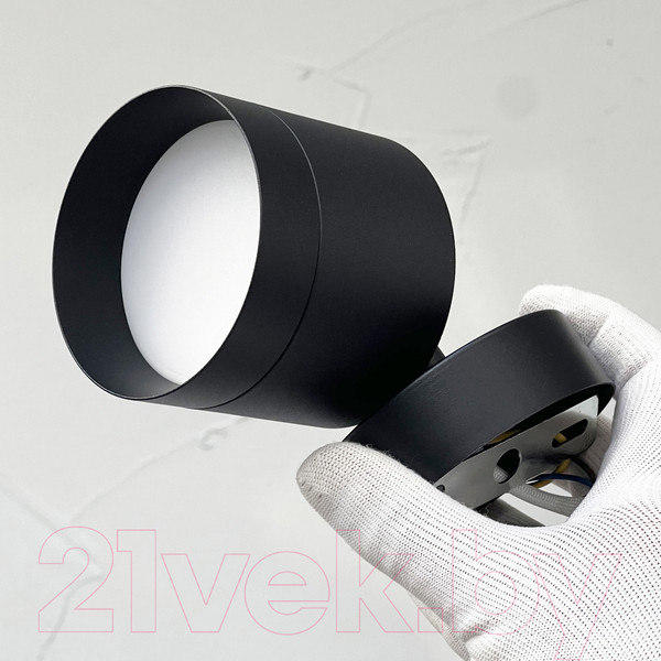 Изображение товара Спот Truenergy 21028