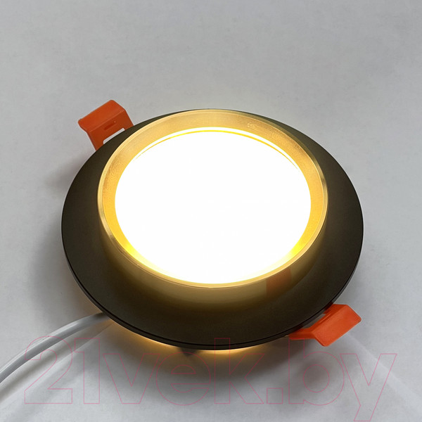 Изображение товара Точечный светильник Truenergy 21237