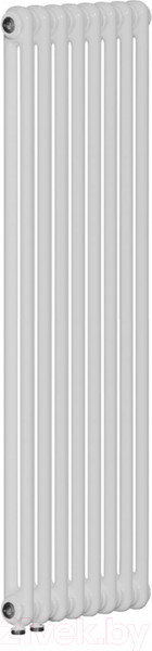 Изображение товара Радиатор стальной Rifar Tubog 2180-10-D1 (нижнее подключение, белый RAL 9016)