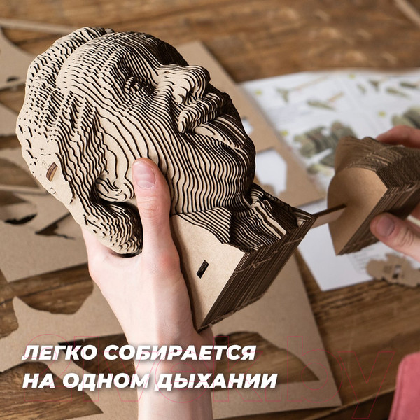 Изображение товара Конструктор QBRIX Эйнштейн