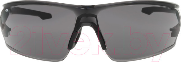 Изображение товара Очки солнцезащитные GOG E695-1 (дымчатый/черный)