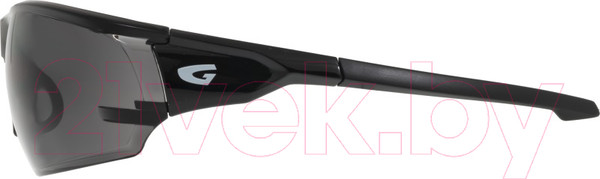 Изображение товара Очки солнцезащитные GOG E695-1 (дымчатый/черный)
