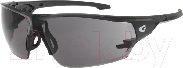 Изображение товара Очки солнцезащитные GOG E695-1 (дымчатый/черный)