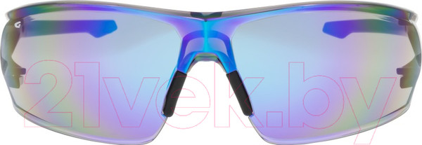 Изображение товара Очки солнцезащитные GOG E695-2 (синий/черный матовый)