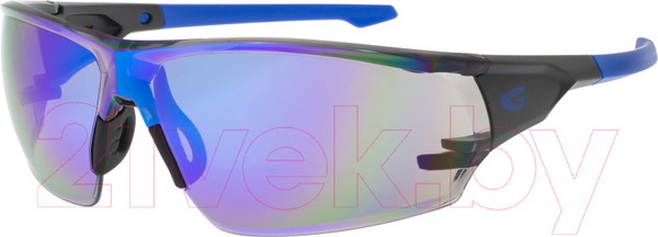 Изображение товара Очки солнцезащитные GOG E695-2 (синий/черный матовый)