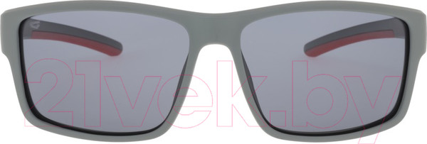 Изображение товара Очки солнцезащитные GOG Youth Polarized E979-2P (серый матовый/красный)