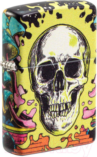 Изображение товара Зажигалка Zippo Skull Design / 48640 (разноцветный)