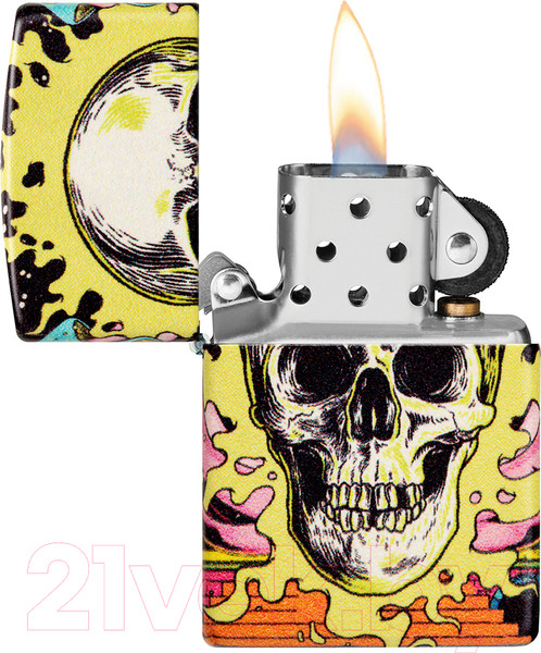 Изображение товара Зажигалка Zippo Skull Design / 48640 (разноцветный)