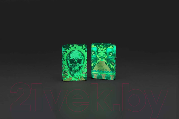 Изображение товара Зажигалка Zippo Skull Design / 48640 (разноцветный)