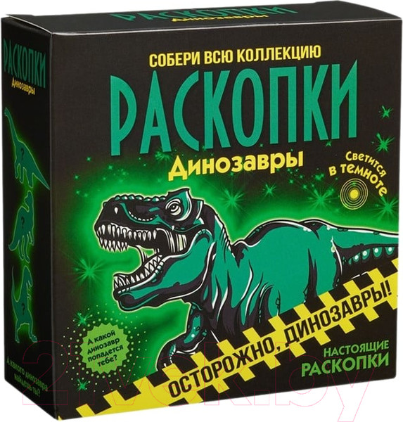 Изображение товара Набор для опытов Bumbaram Раскопки. Светящиеся динозавры / DIG-67