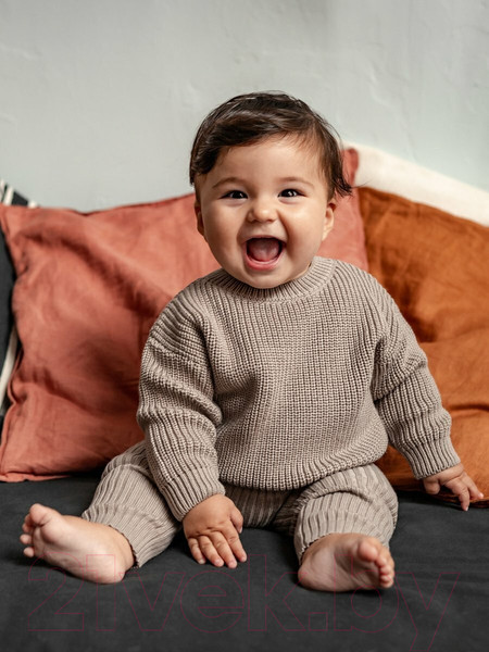 Изображение товара Джемпер для малышей Amarobaby Pure Love Buddy / AB-OD23-PLB26/12-80 (коричневый, р. 80)