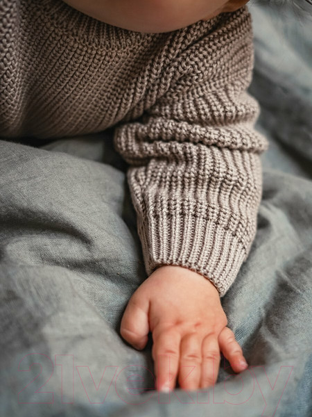 Изображение товара Джемпер для малышей Amarobaby Pure Love Buddy / AB-OD23-PLB26/12-80 (коричневый, р. 80)