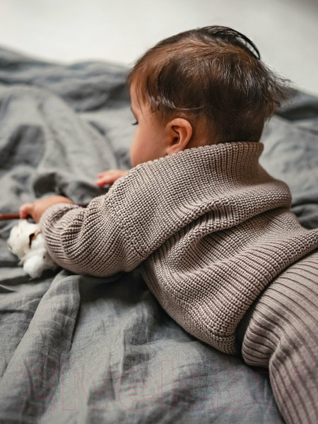 Изображение товара Джемпер для малышей Amarobaby Pure Love Buddy / AB-OD23-PLB26/12-80 (коричневый, р. 80)