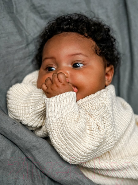 Изображение товара Джемпер для малышей Amarobaby Pure Love Buddy / AB-OD23-PLB26/33-80 (молочный, р. 80)