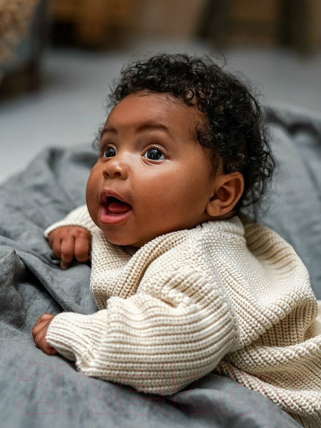 Изображение товара Джемпер для малышей Amarobaby Pure Love Buddy / AB-OD23-PLB26/33-80 (молочный, р. 80)