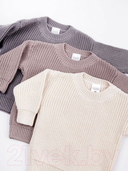 Изображение товара Джемпер для малышей Amarobaby Pure Love Buddy / AB-OD23-PLB26/11-68 (серый, р. 68)