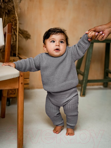 Изображение товара Джемпер для малышей Amarobaby Pure Love Buddy / AB-OD23-PLB26/11-80 (серый, р. 80)