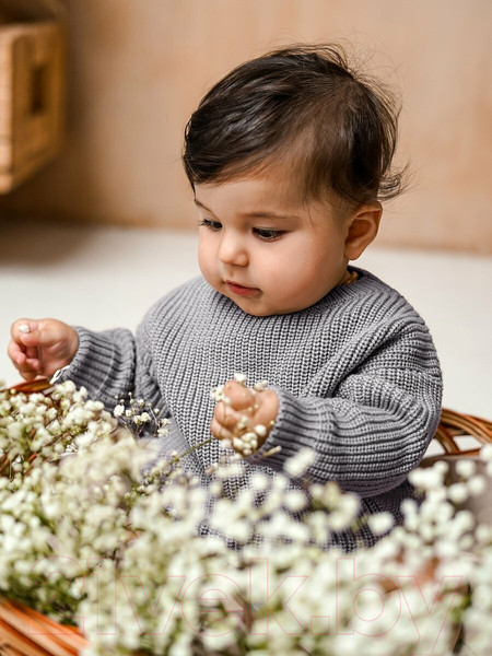 Изображение товара Джемпер для малышей Amarobaby Pure Love Buddy / AB-OD23-PLB26/11-80 (серый, р. 80)