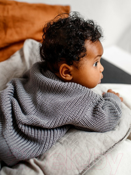 Изображение товара Джемпер для малышей Amarobaby Pure Love Buddy / AB-OD23-PLB26/11-86 (серый, р. 86)
