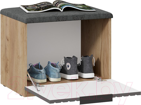 Изображение товара Тумба для обуви ТриЯ Хилтон Исп.2.1 (дуб крафт золотой/графит матовый)