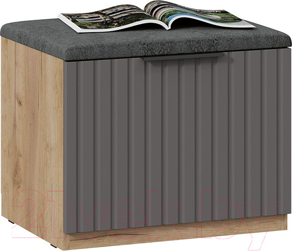 Изображение товара Тумба для обуви ТриЯ Хилтон Исп.2.1 (дуб крафт золотой/графит матовый)