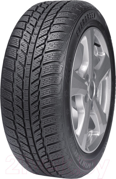 Изображение товара Зимняя шина Evergreen EW62 175/70R14 88T
