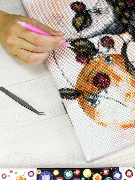 Изображение товара Набор алмазной вышивки Феникс+ Малина by Lina Kredia / 65586