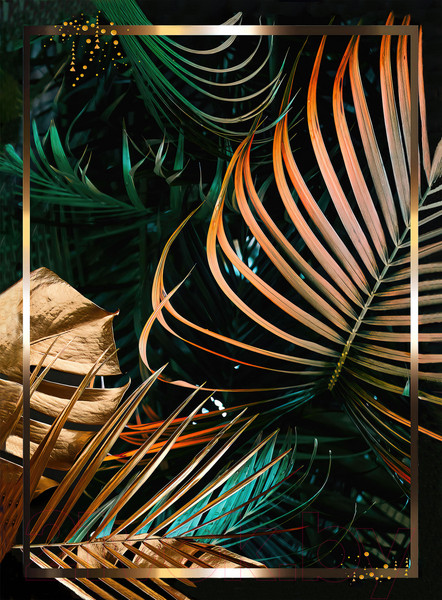 Изображение товара Картина Vimala На холсте 50x70 / Арт 38