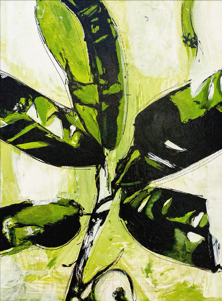 Изображение товара Картина Vimala На холсте 50x70 / Арт 56