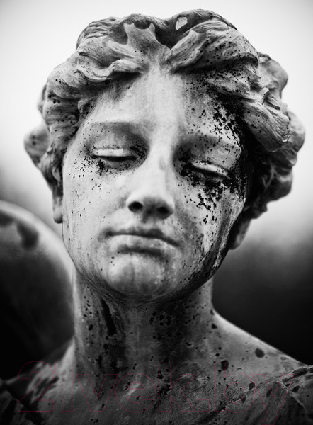 Изображение товара Картина Vimala На холсте 50x70 / Арт 65