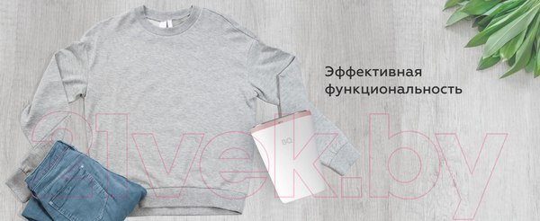 Изображение товара Отпариватель BQ SG1008H (белый/фиолетовый)