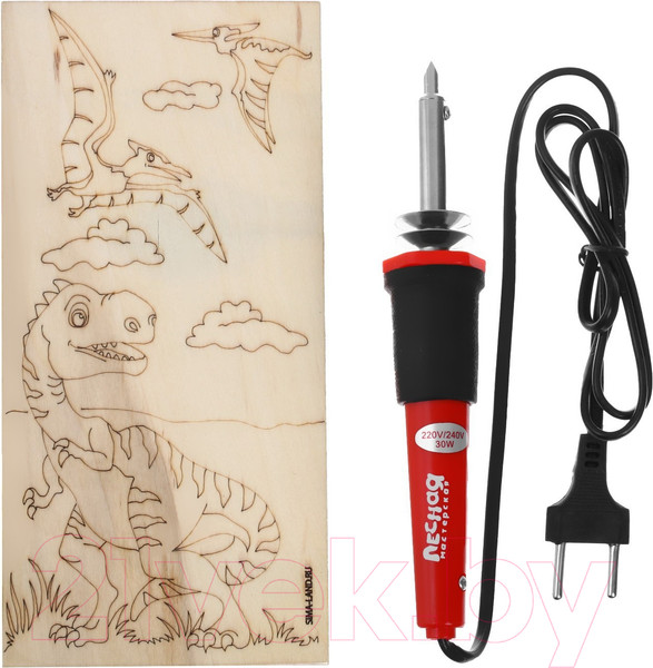 Изображение товара Набор для выжигания Лесная мастерская Динозавры / 7917328